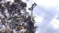 PLN Icon Plus Rapikan Kabel Jaringan Wonosobo untuk Menjaga Keandalan Infrastruktur