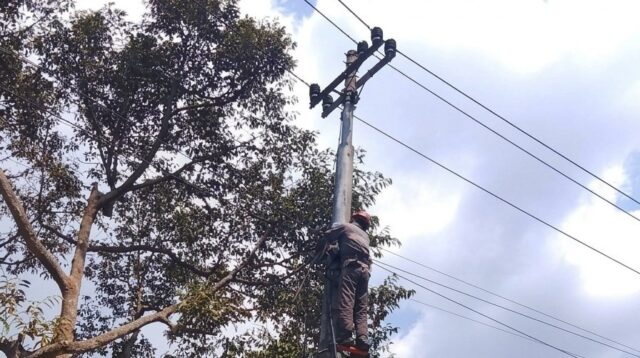 PLN Icon Plus Rapikan Kabel Jaringan Wonosobo untuk Menjaga Keandalan Infrastruktur