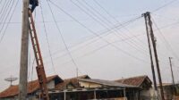 PLN Icon Plus Jaga Keandalan Jaringan melalui Perapihan Kabel di Batang