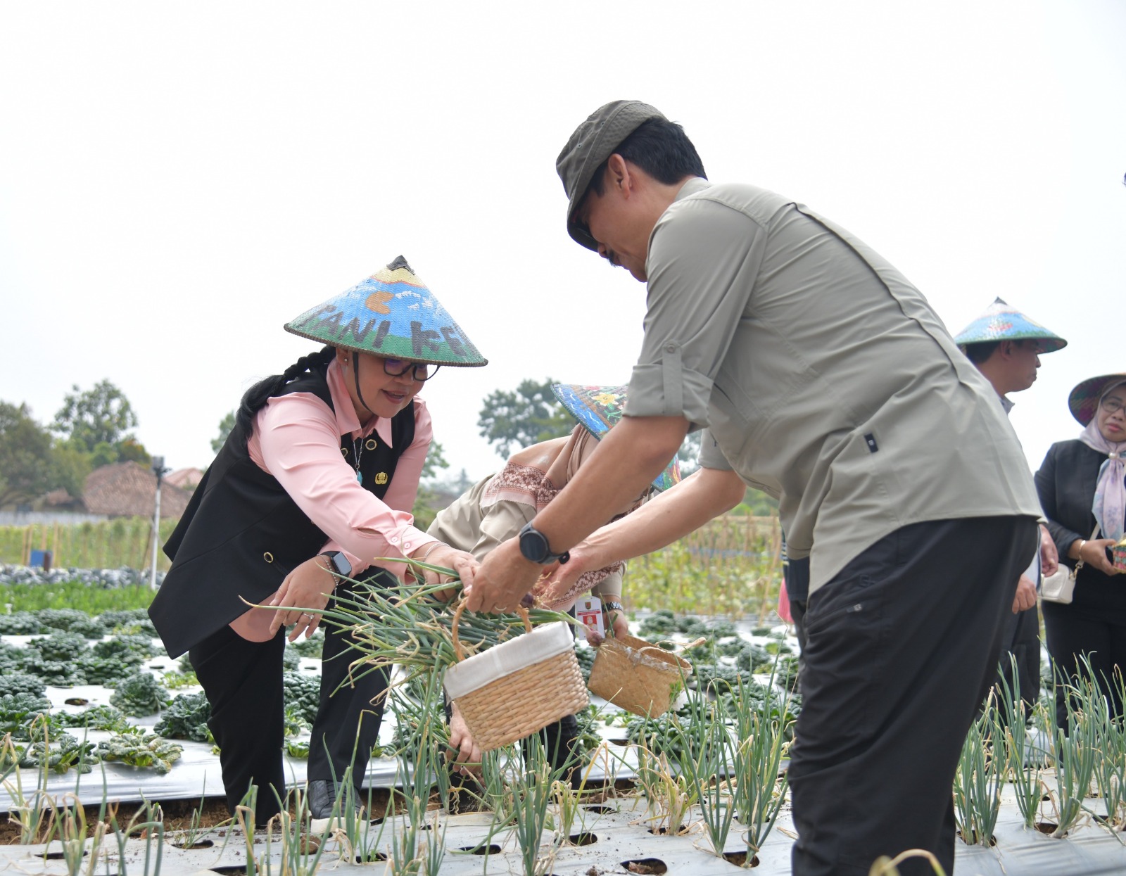 Kembangkan Pertanian Terpadu Metode BSM, Wali Kota Agustina Dorong Hasil Panen Terserap Pasar