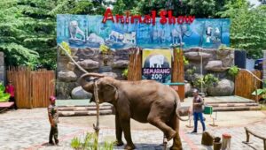 Semarang Zoo Siapkan Perawatan Khusus Satwa untuk Hadapi Cuaca Panas Ekstrem