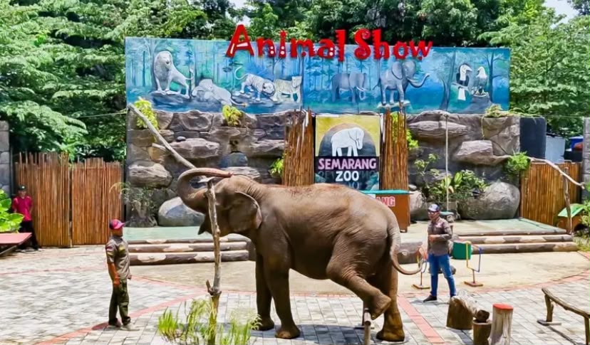 Semarang Zoo Siapkan Perawatan Khusus Satwa untuk Hadapi Cuaca Panas Ekstrem
