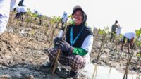AHY dan Ahmad Luthfi Tanam Mangrove di Demak, Andalkan Teknologi HexBricks untuk Atasi Abrasi Pantura