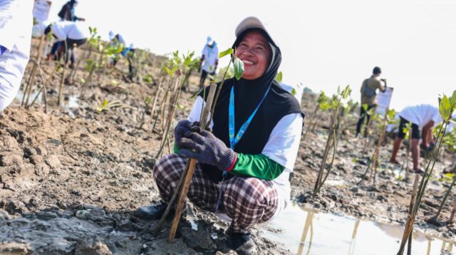 AHY dan Ahmad Luthfi Tanam Mangrove di Demak, Andalkan Teknologi HexBricks untuk Atasi Abrasi Pantura