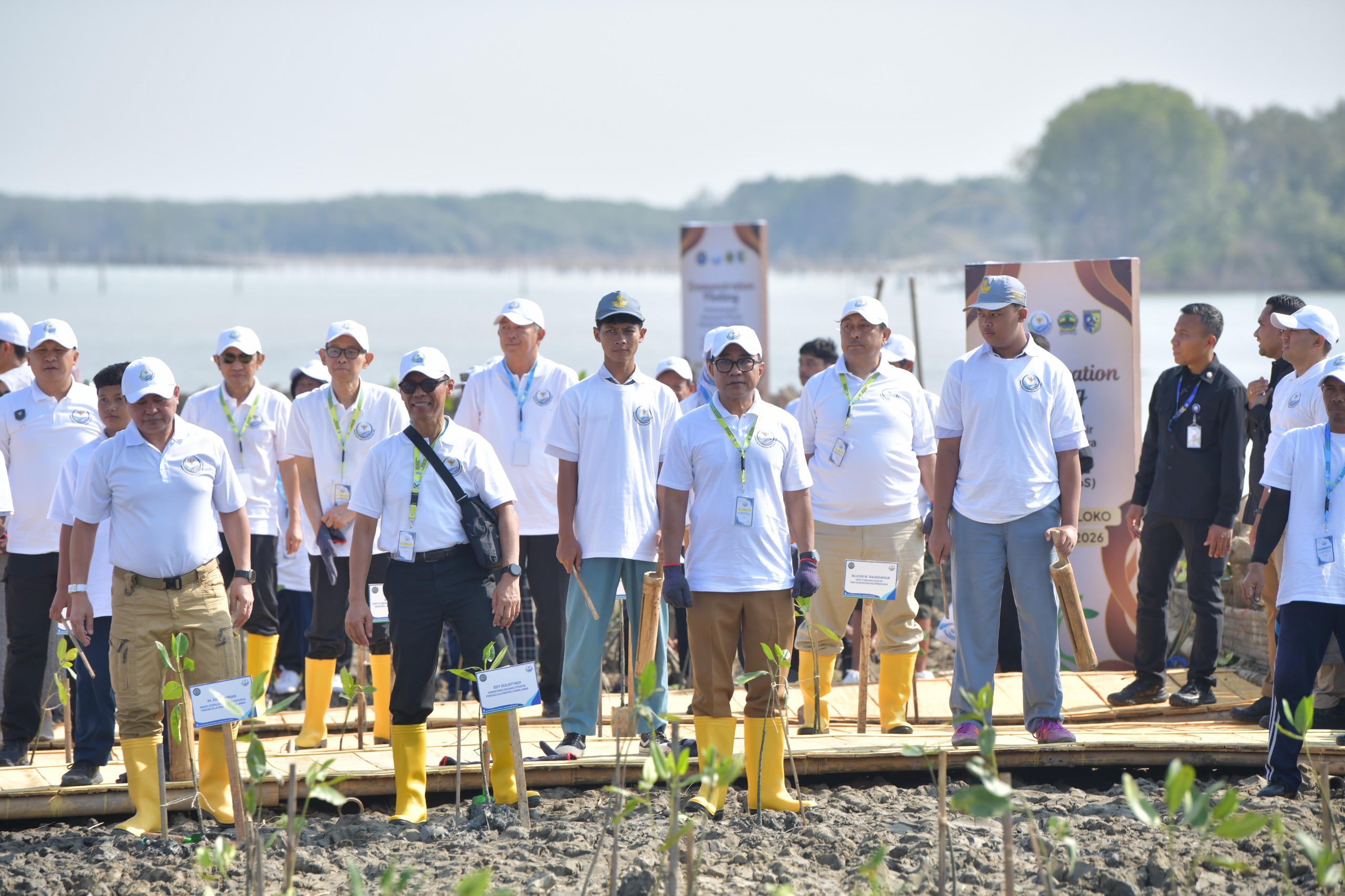 Tanam Mangrove